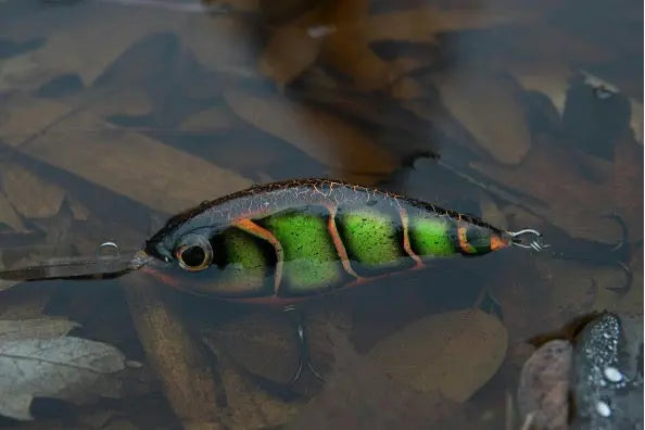 Lure-Painting-Basics-Day-1-Essentials-Guide SprayGunner