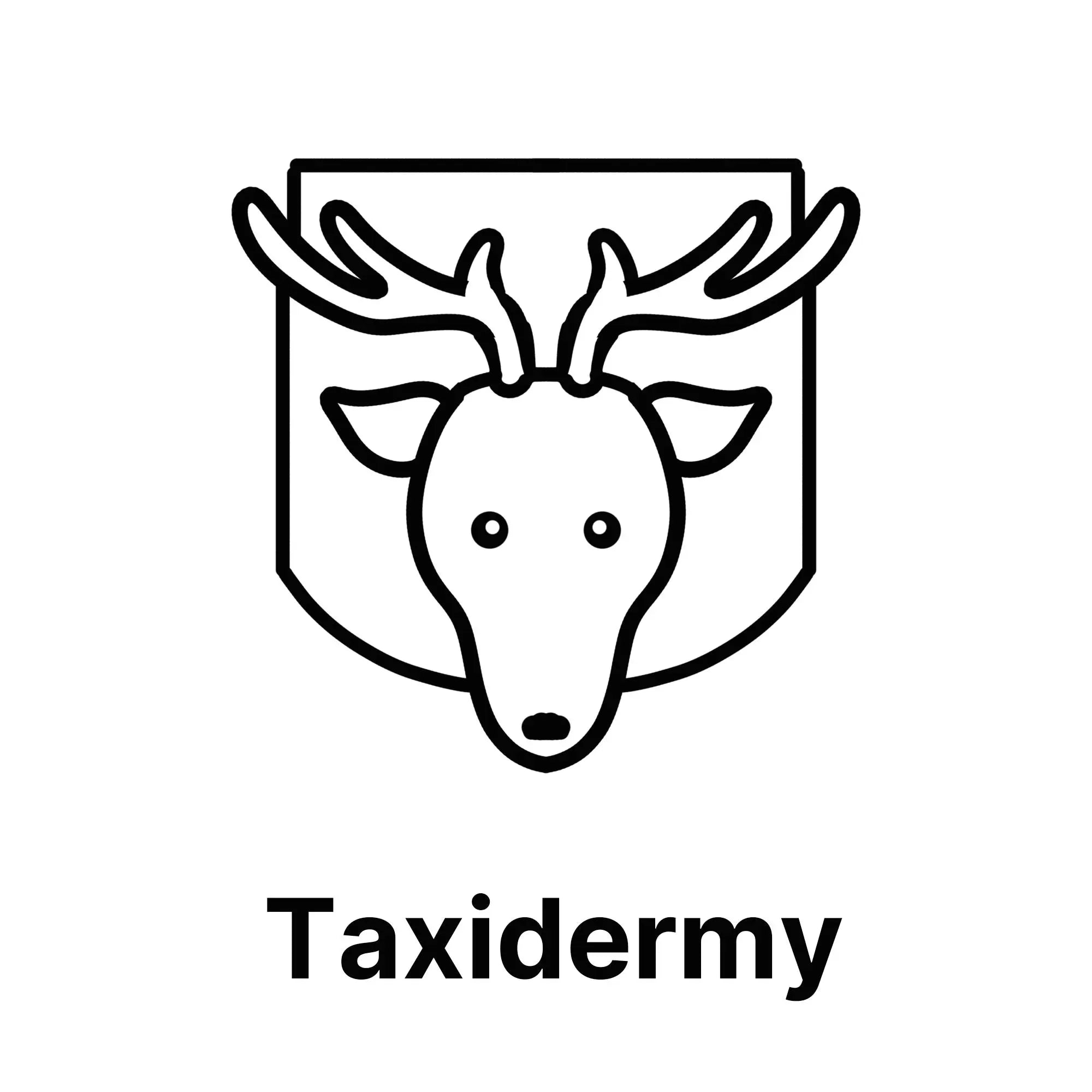 Airbrush-for-Taxidermy SprayGunner