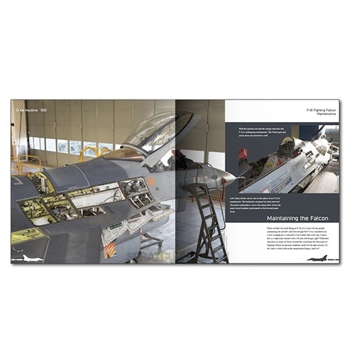 AMMO by MIG Publications - Aircraft in Detail: F-16 Fighting Falcon - SprayGunner