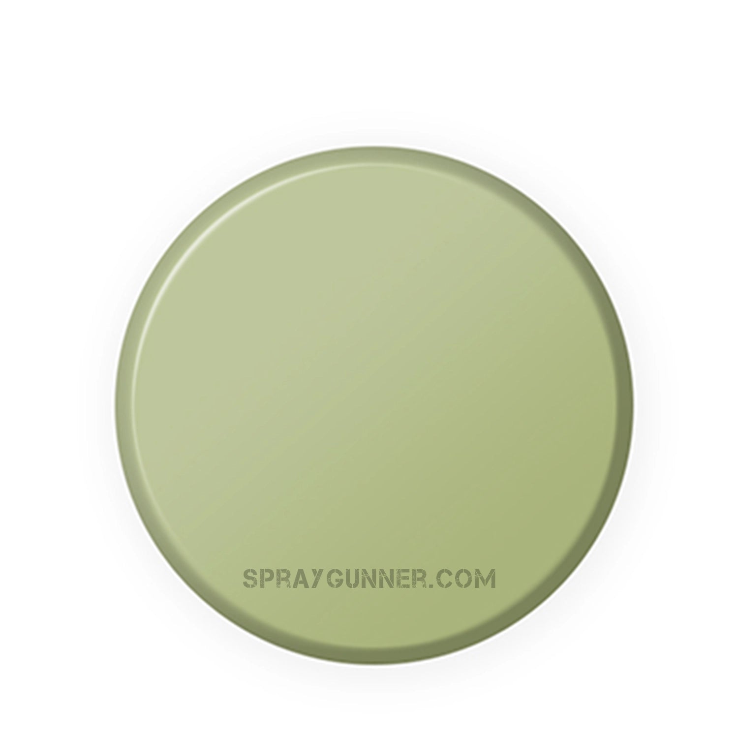 ATOM Acrylic Colors: Duck Egg Green - SprayGunner