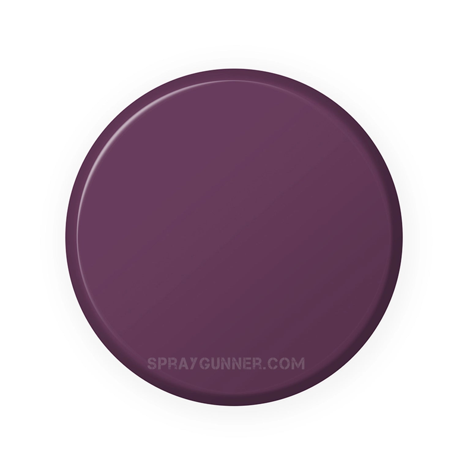 IONIC Smart Colors: Octopus Purple (20ml) - SprayGunner