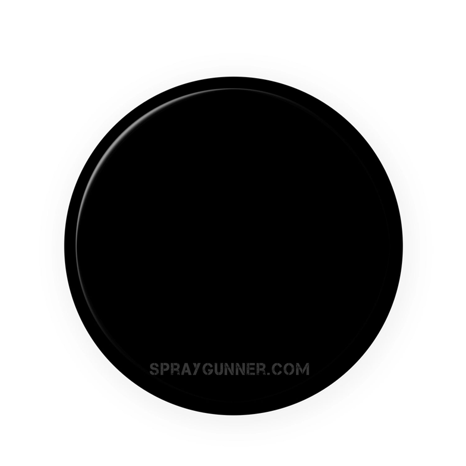 IONIC Smart Colors: Black (20ml) - SprayGunner