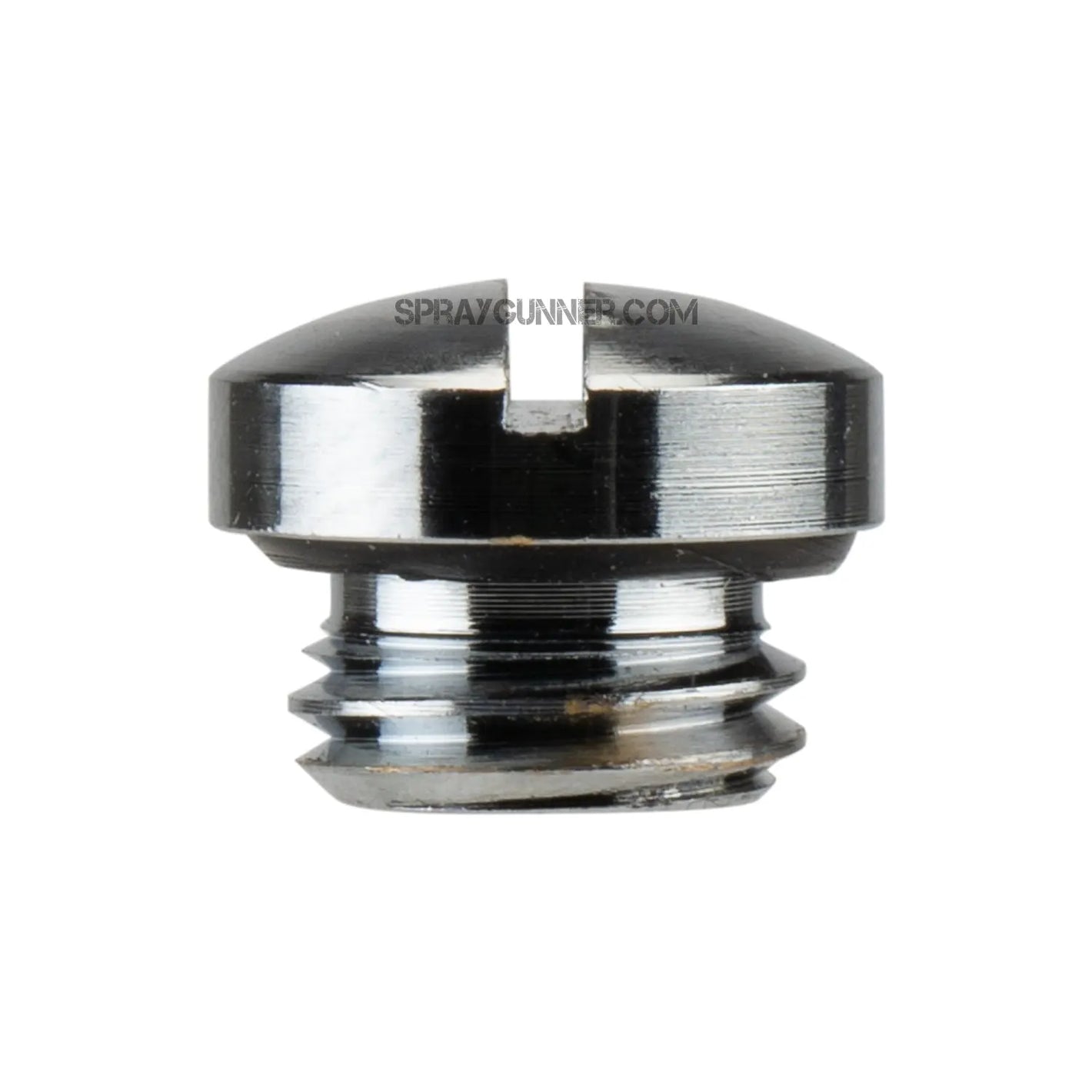 Iwata Blanking Screw I0451 Iwata