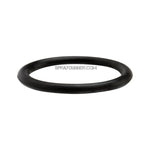 Iwata Cup O-Ring I1507 Iwata