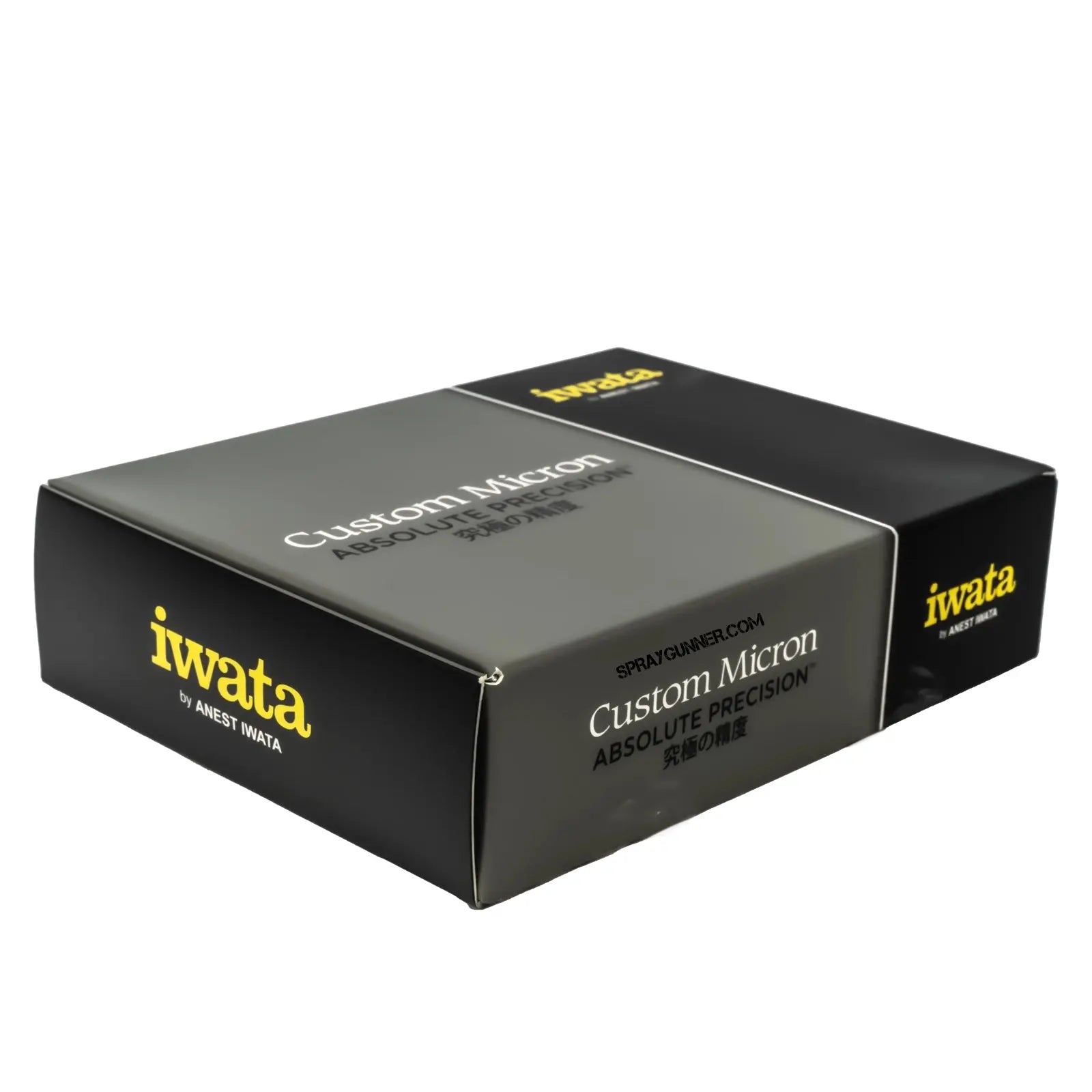 Iwata Custom Micron Takumi Side Feed Dual Action Airbrush Iwata