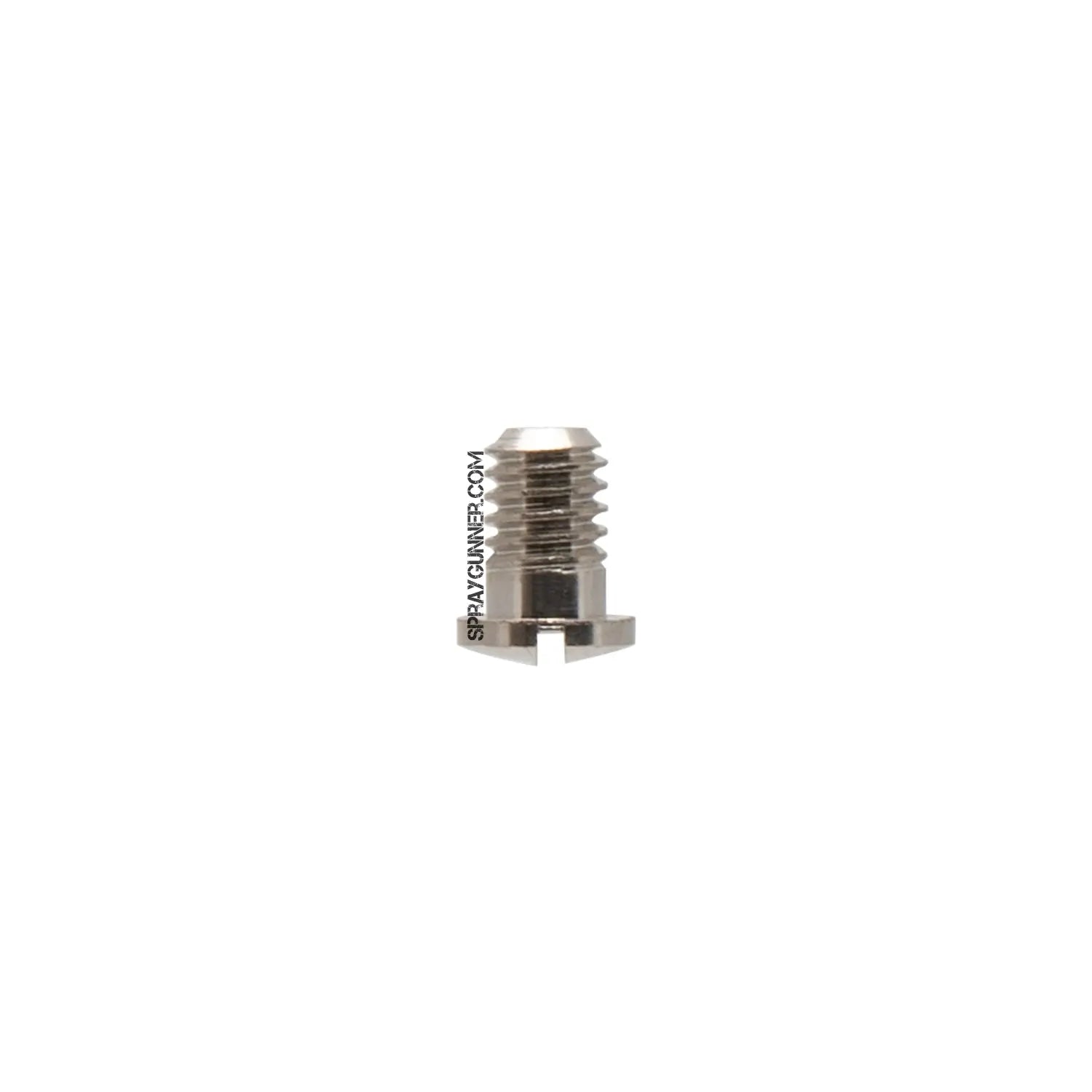 Iwata Main Body Ring Screw N1312 Iwata