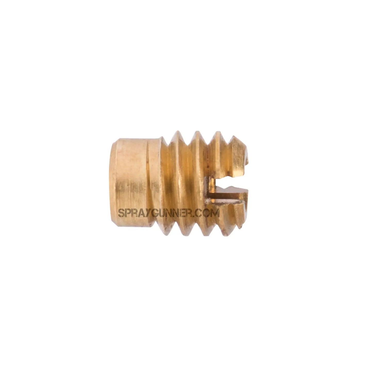 Iwata Needle Packing Screw N1251 Iwata