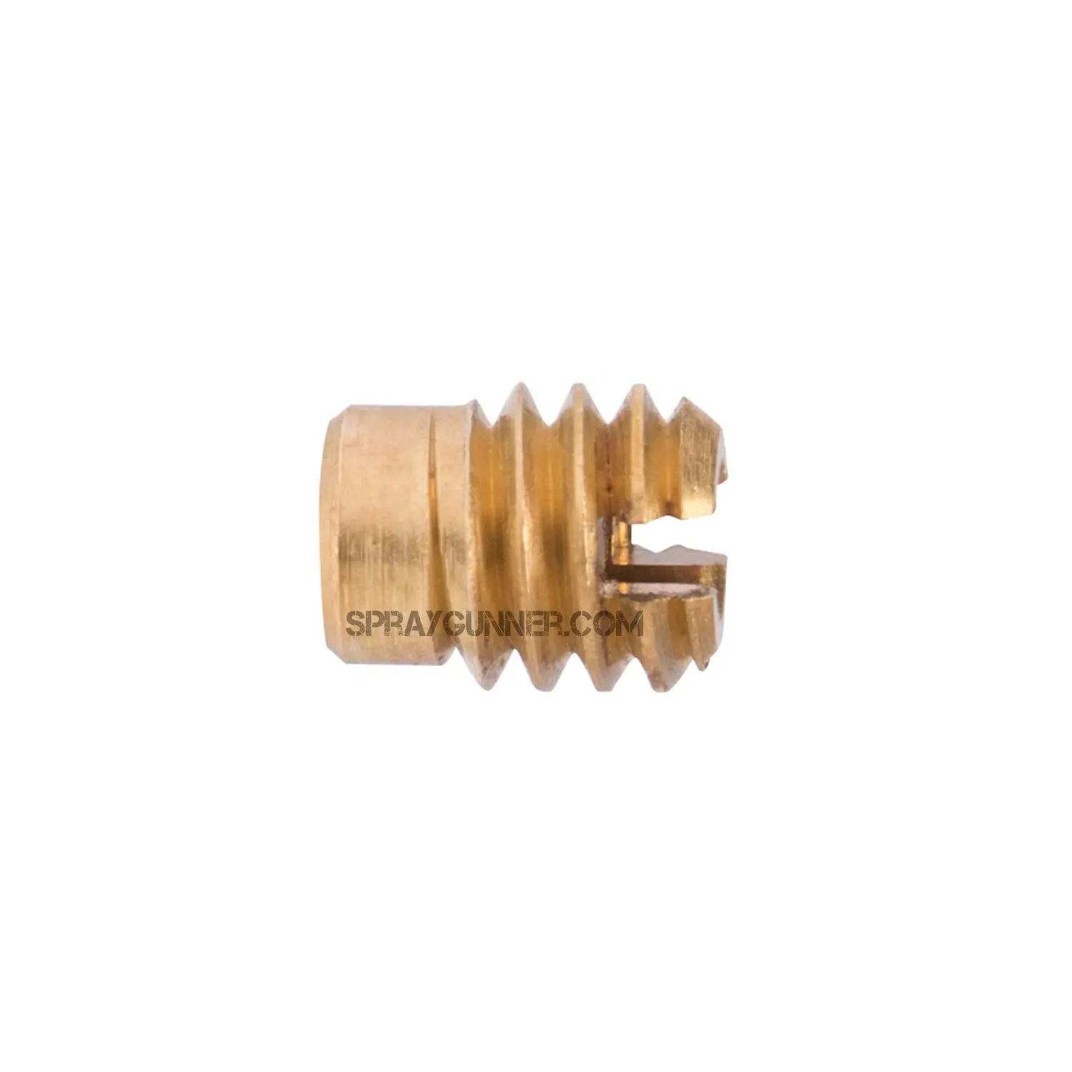 Iwata Needle Packing Screw N1251 Iwata