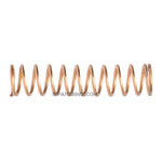 Iwata Needle Spring N1351 Iwata