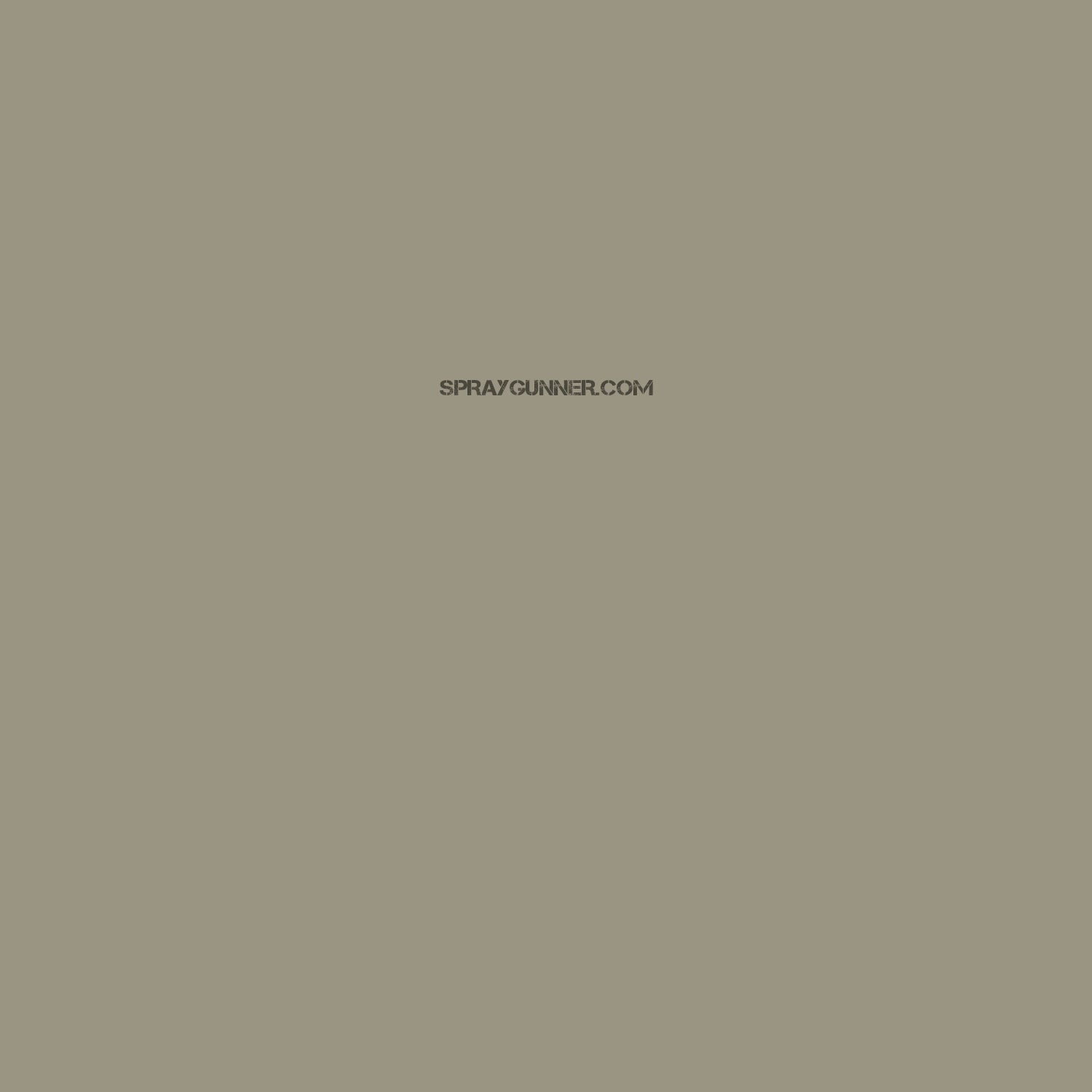 Mission Models Paints Color: MMP-056 Grau RLM 02 - SprayGunner
