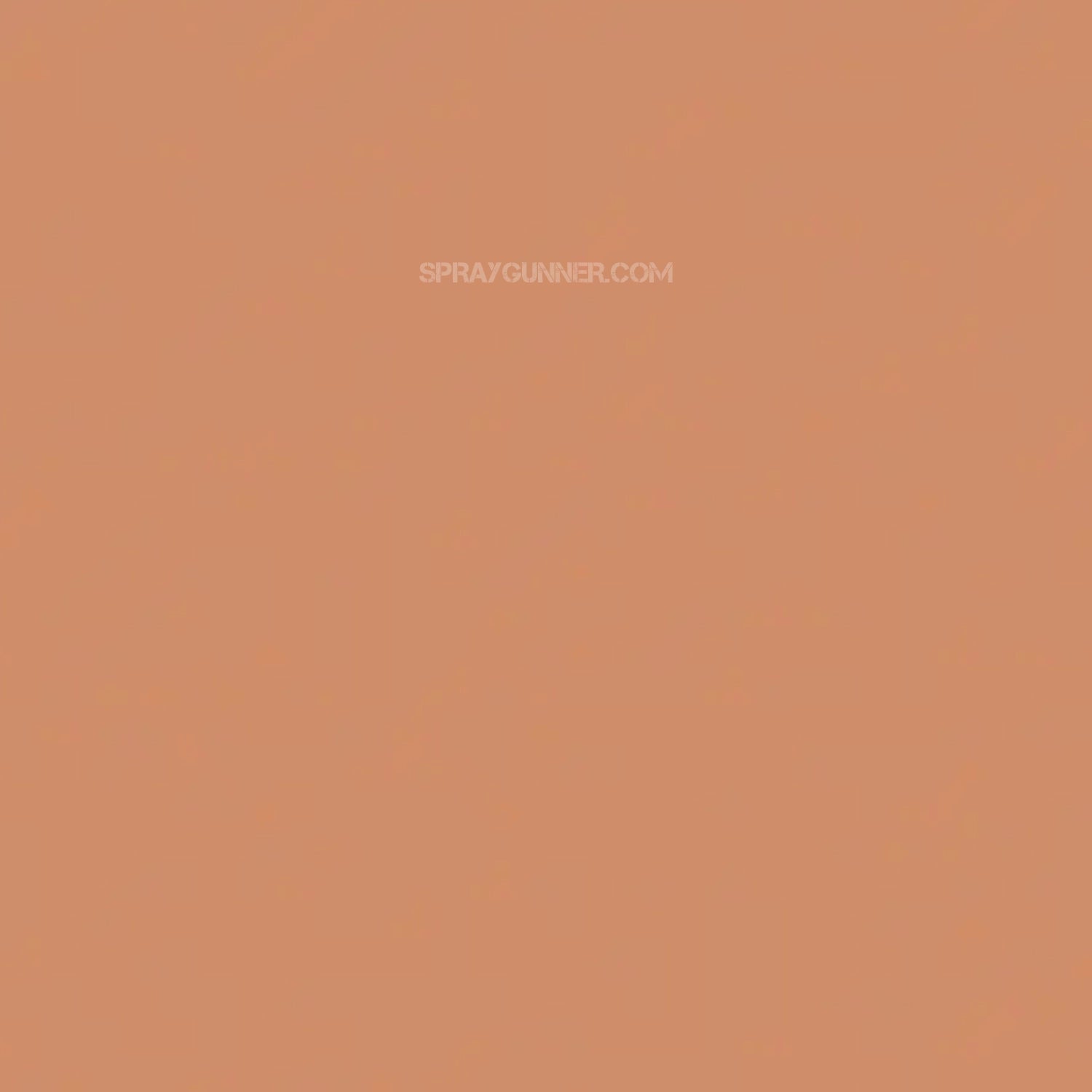 Medea NuWorlds Paint Light Espresso Flesh 1 oz - SprayGunner