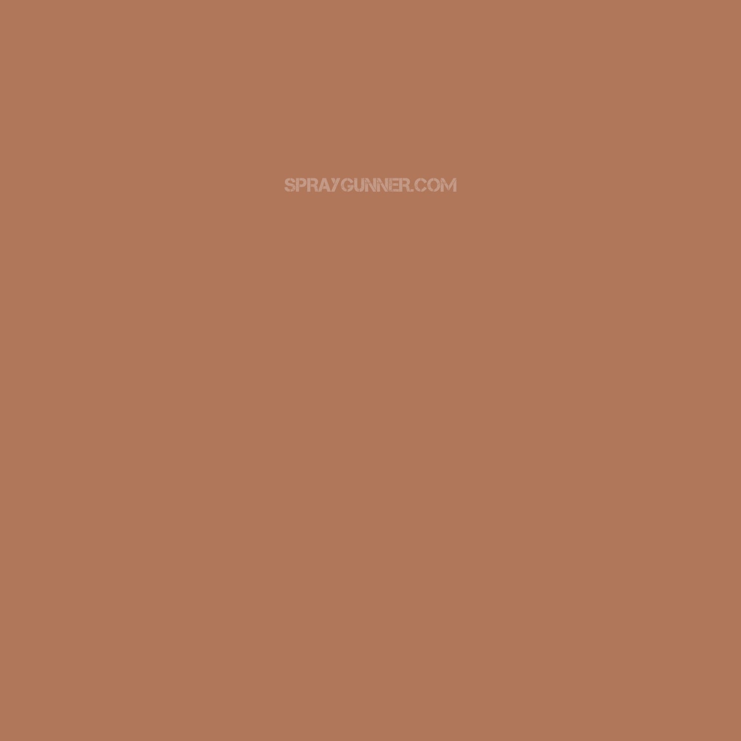 Medea NuWorlds Paint Espresso Flesh 1 oz - SprayGunner