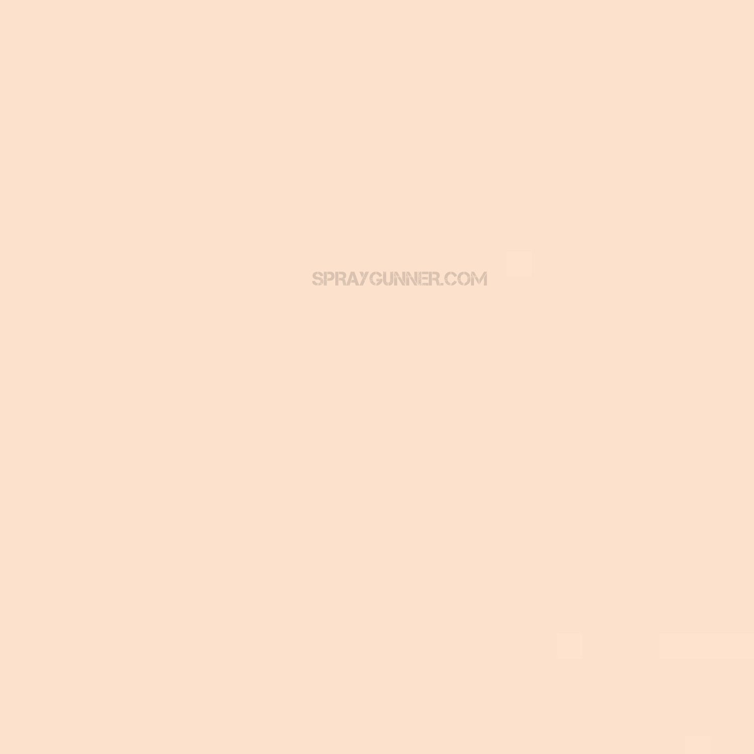 Medea NuWorlds Paint Light Neutral Flesh 1 oz - SprayGunner