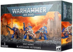 Warhammer 40K Space Marines - Bladeguard Veterans - SprayGunner
