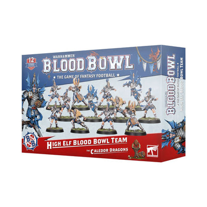 Warhammer High Elf Blood Bowl Team: The Caledor Dragons