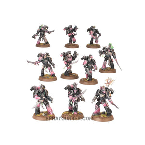 Warhammer 40k Champions of Slaanesh Emperor's Children Army Set includes collector's art cards, decals, and finely detailed miniatures.