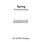 GAAHLERI Airbrush Spring for Mobius - SprayGunner