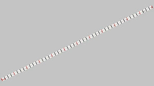 Trulers 1/4″ x 12″, 2 Sheets of 10 - SprayGunner