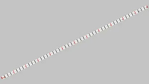 Trulers 1/4″ x 12″, 2 Sheets of 10 trulers