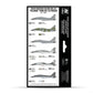 Vallejo Model Air Set: Soviet/Russian colors MiG-29 “Fulcrum” from 80’s to present