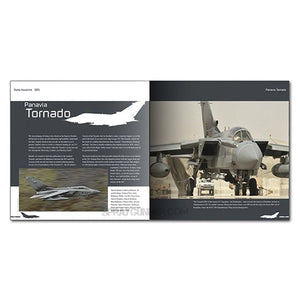 AMMO de MIG Publications - Aeronave en detalle: Panavia Tornado