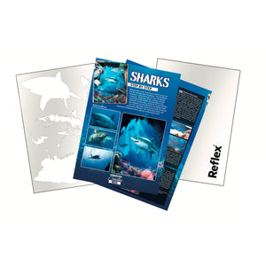 Airbrush Step by Step Stencil Set - Sharks