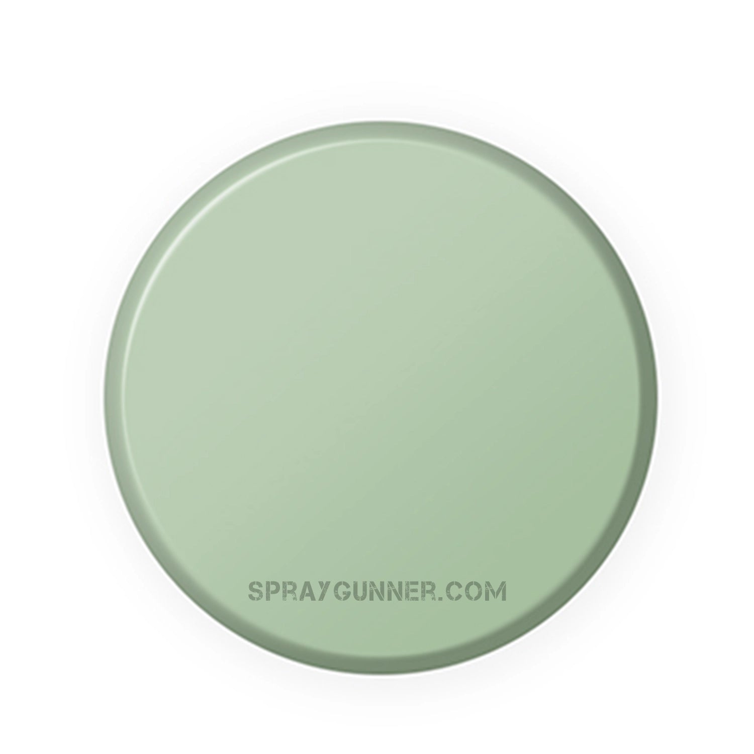 ATOM Acrylic Colors: Light Gray Green - SprayGunner