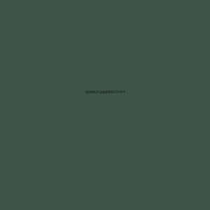 GSI Creos Mr.Color Model Paint: Dark Green (C-320) - SprayGunner