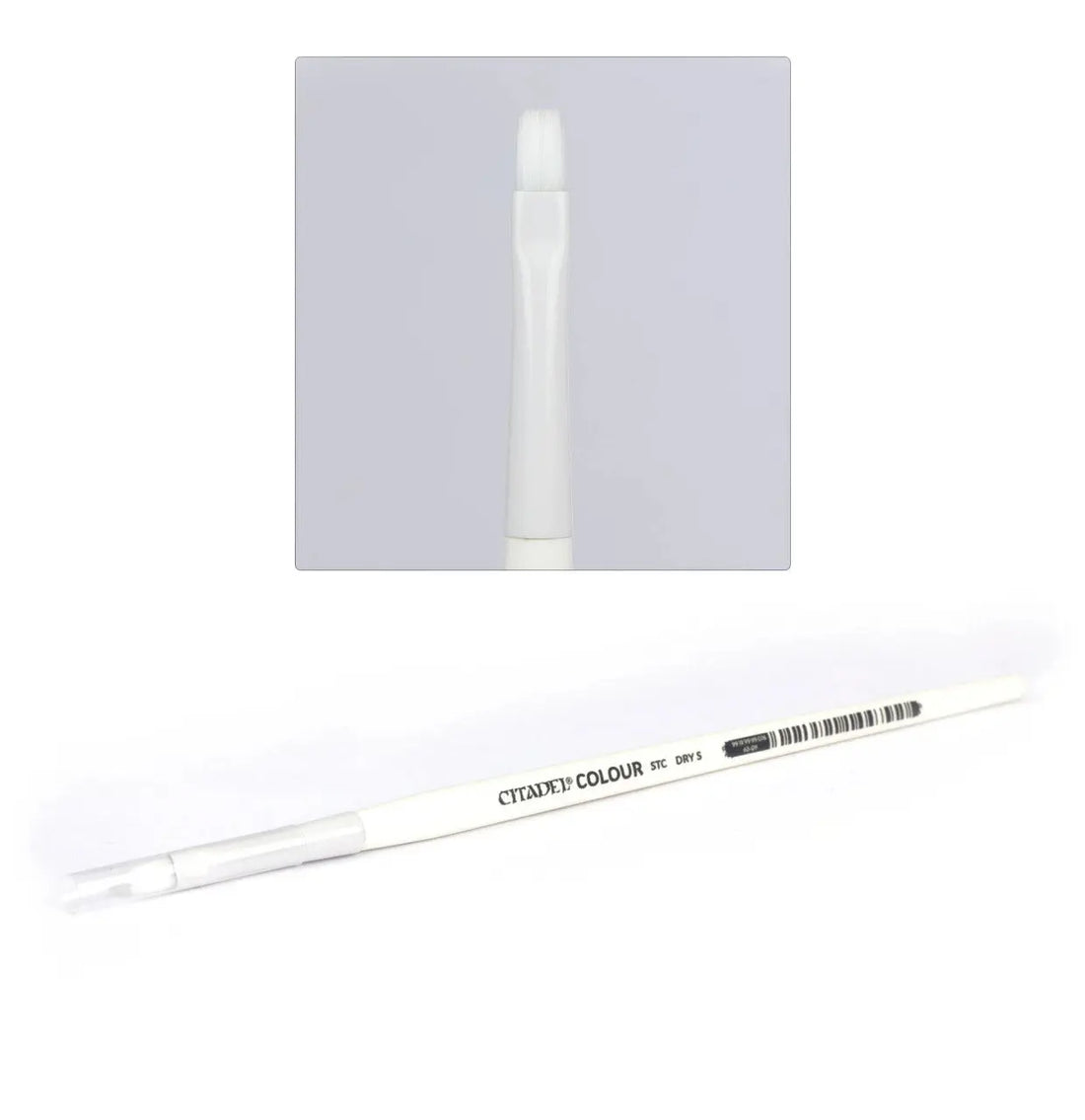 CITADEL SYNTHETIC DRY BRUSH (small) - SprayGunner