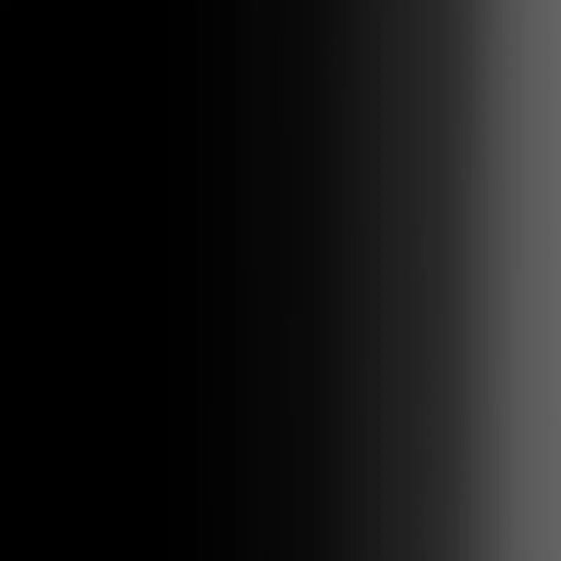 Createx Airbrush Colors Opaque Black 5211 - SprayGunner