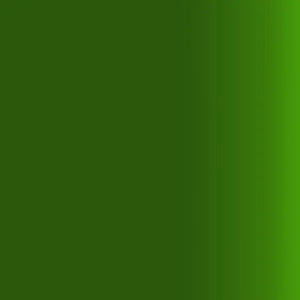 Createx Airbrush Colors Transparent Tropical Green 5116 Createx