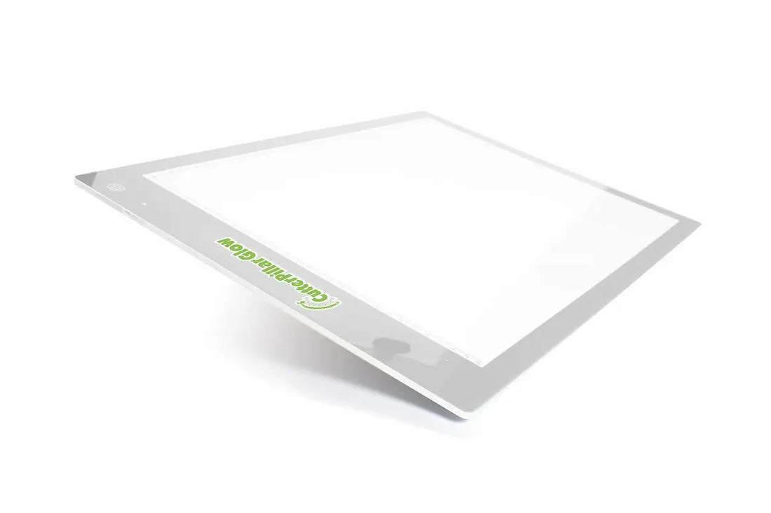 CutterPillar Glow Premium - Illuminated Cutting Board - SprayGunner