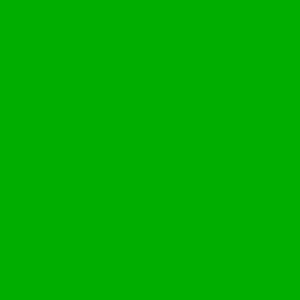 Jacquard Airbrush Color Fluorescent Green 4 oz