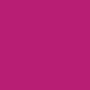 Jacquard Airbrush Color Fluorescent Raspberry 4 oz