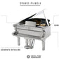 Grande Pianola Piano Metal Model - SprayGunner