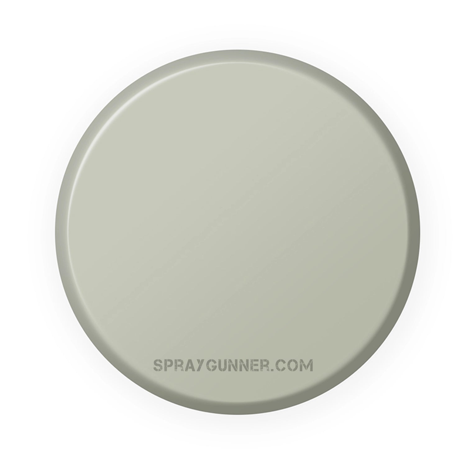IONIC Smart Colors: Deck Grey (20ml) - SprayGunner
