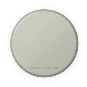 IONIC Smart Colors: Deck Grey (20ml) - SprayGunner
