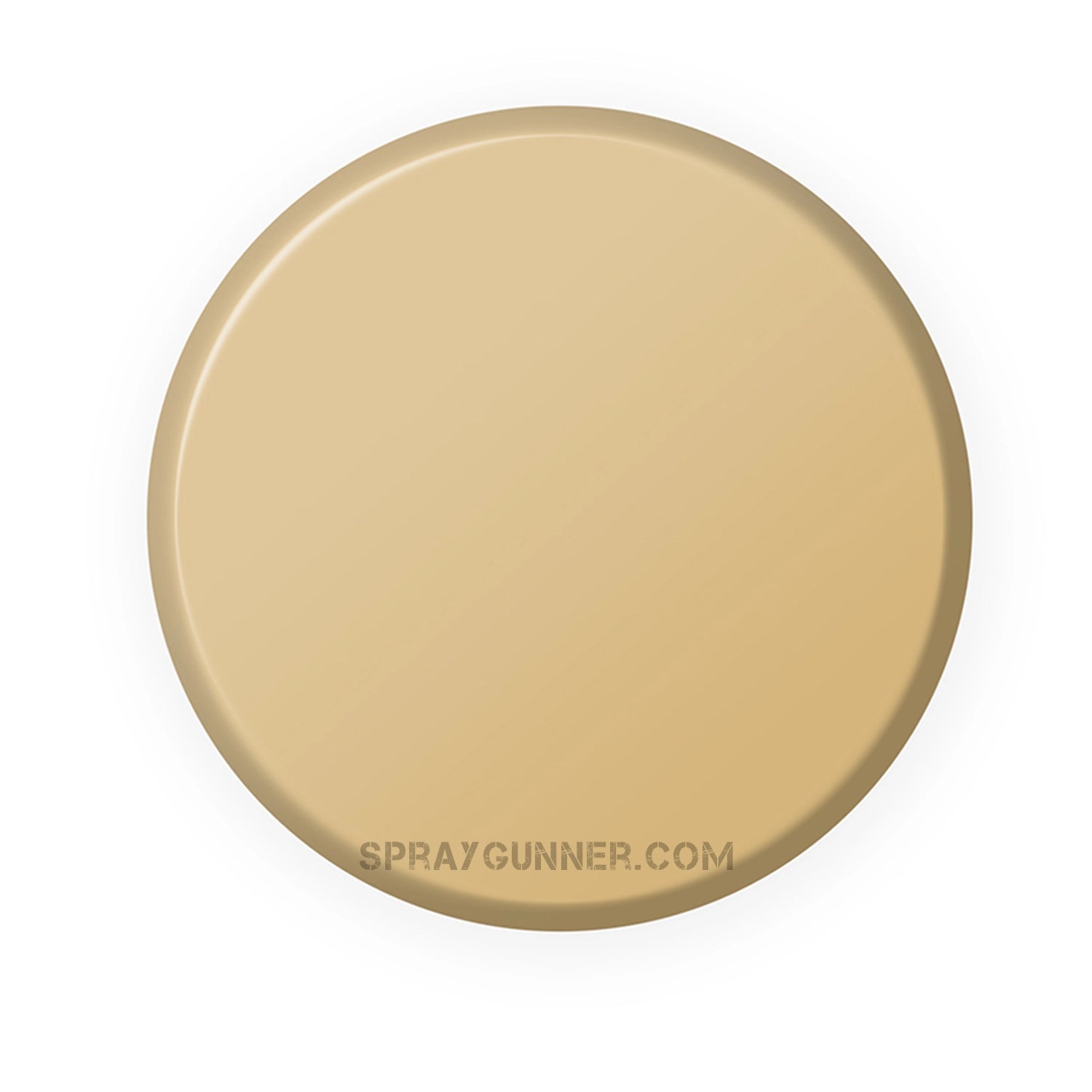 IONIC Smart Colors: Desert Sand (20ml) - SprayGunner