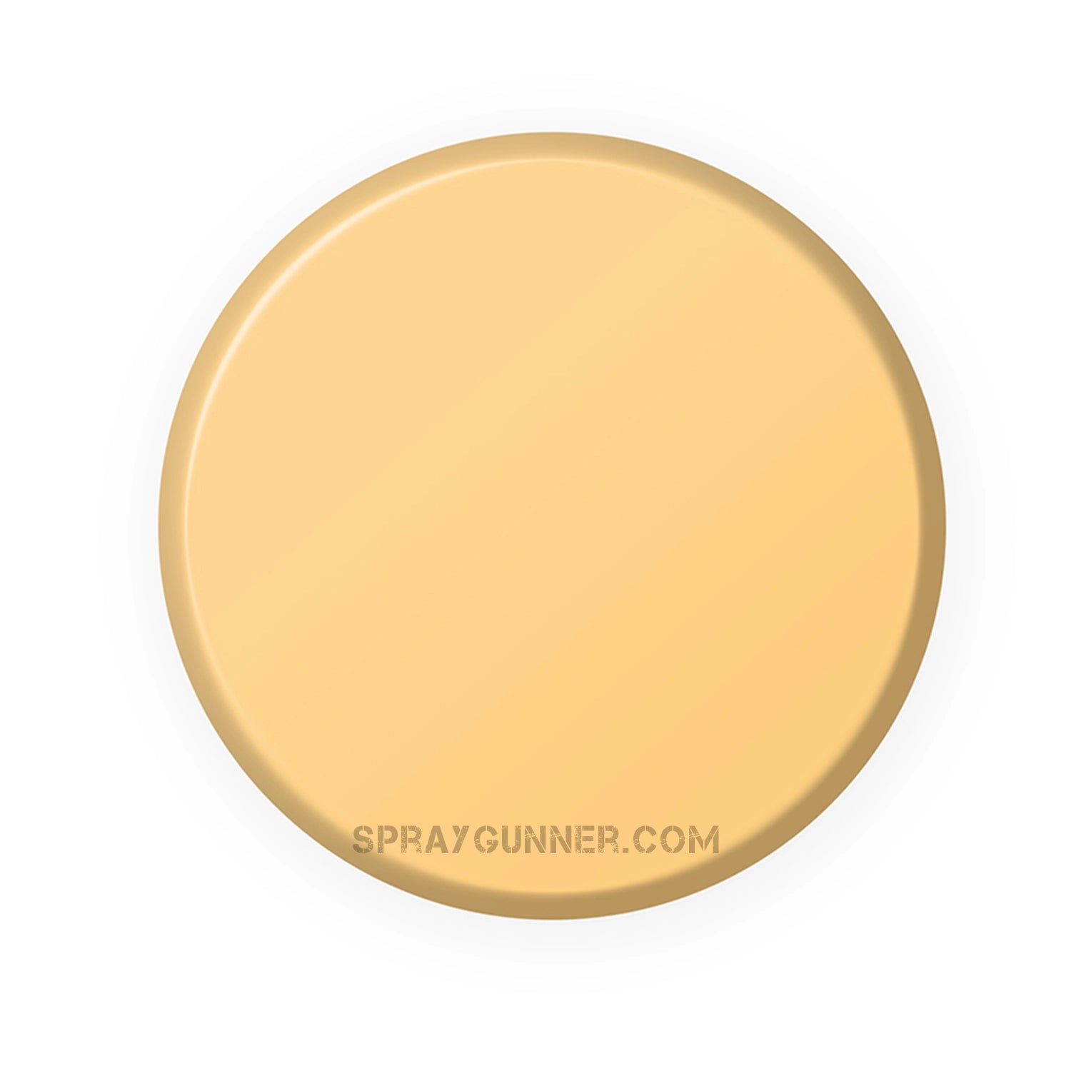 IONIC Smart Colors: Light Golden Flesh (20ml) - SprayGunner