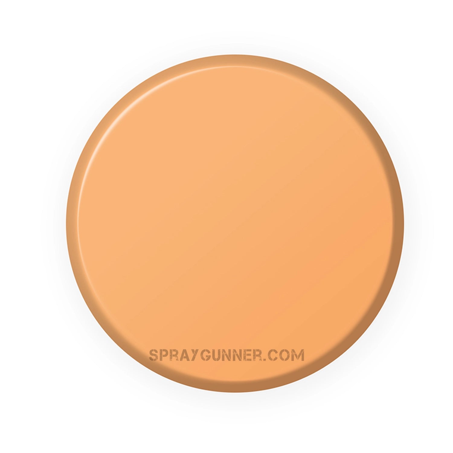 IONIC Smart Colors: Golden Flesh (20ml) - SprayGunner