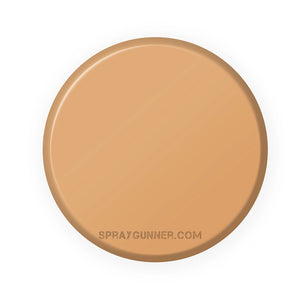 IONIC Smart Colors: Imperial Flesh (20ml) - SprayGunner