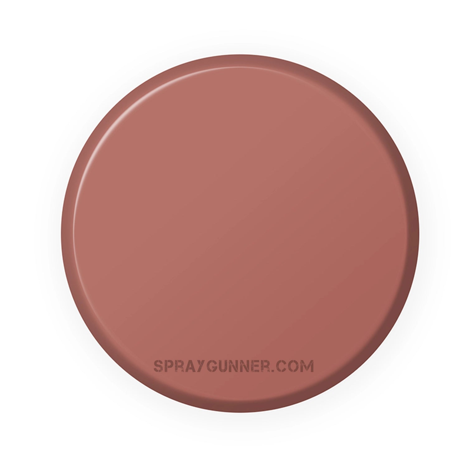 IONIC Smart Colors: Tanned Flesh (20ml) - SprayGunner