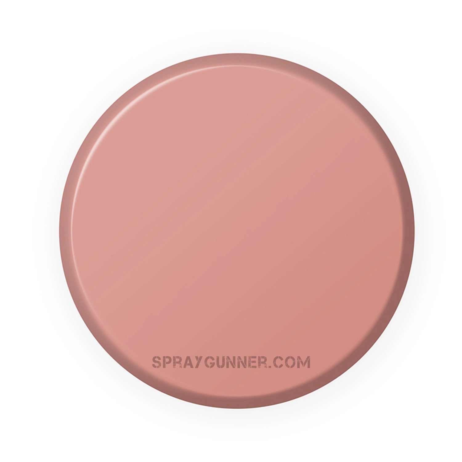 IONIC Smart Colors: Neutral Flesh (20ml) - SprayGunner