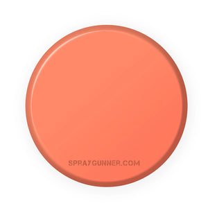 IONIC Smart Colors: Light Orange (20ml) - SprayGunner