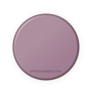 IONIC Smart Colors: Thanatos Grey (20ml) - SprayGunner