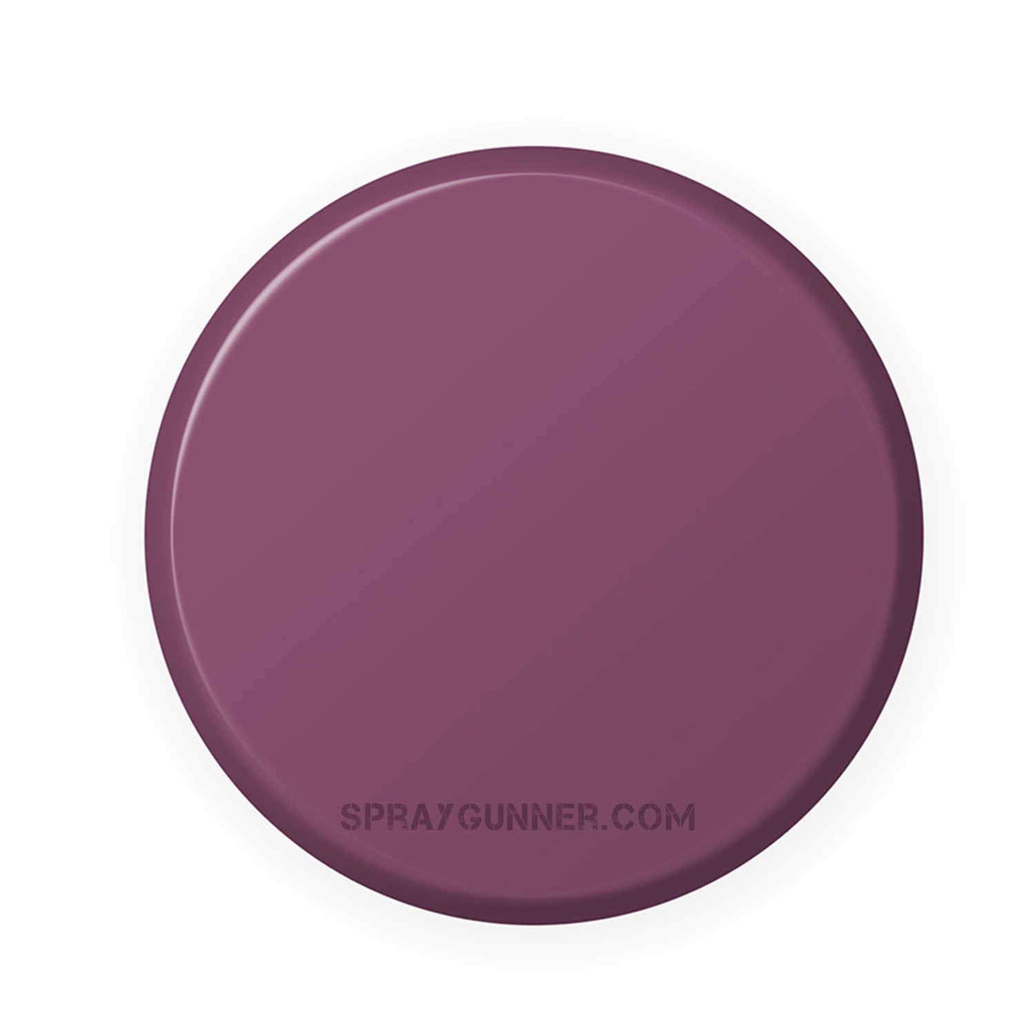IONIC Smart Colors: Malicious Violet (20ml) - SprayGunner
