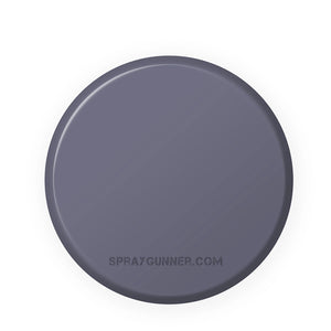 IONIC Smart Colors: Misty Grey (20ml) - SprayGunner