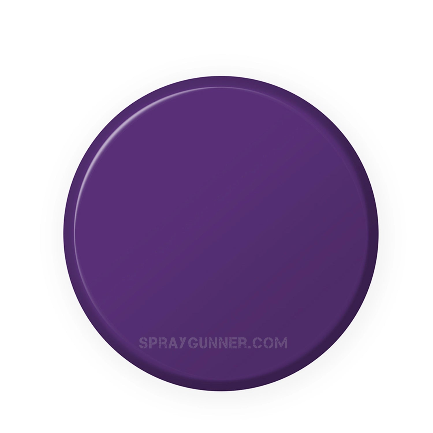 IONIC Smart Colors: Purple (20ml) - SprayGunner