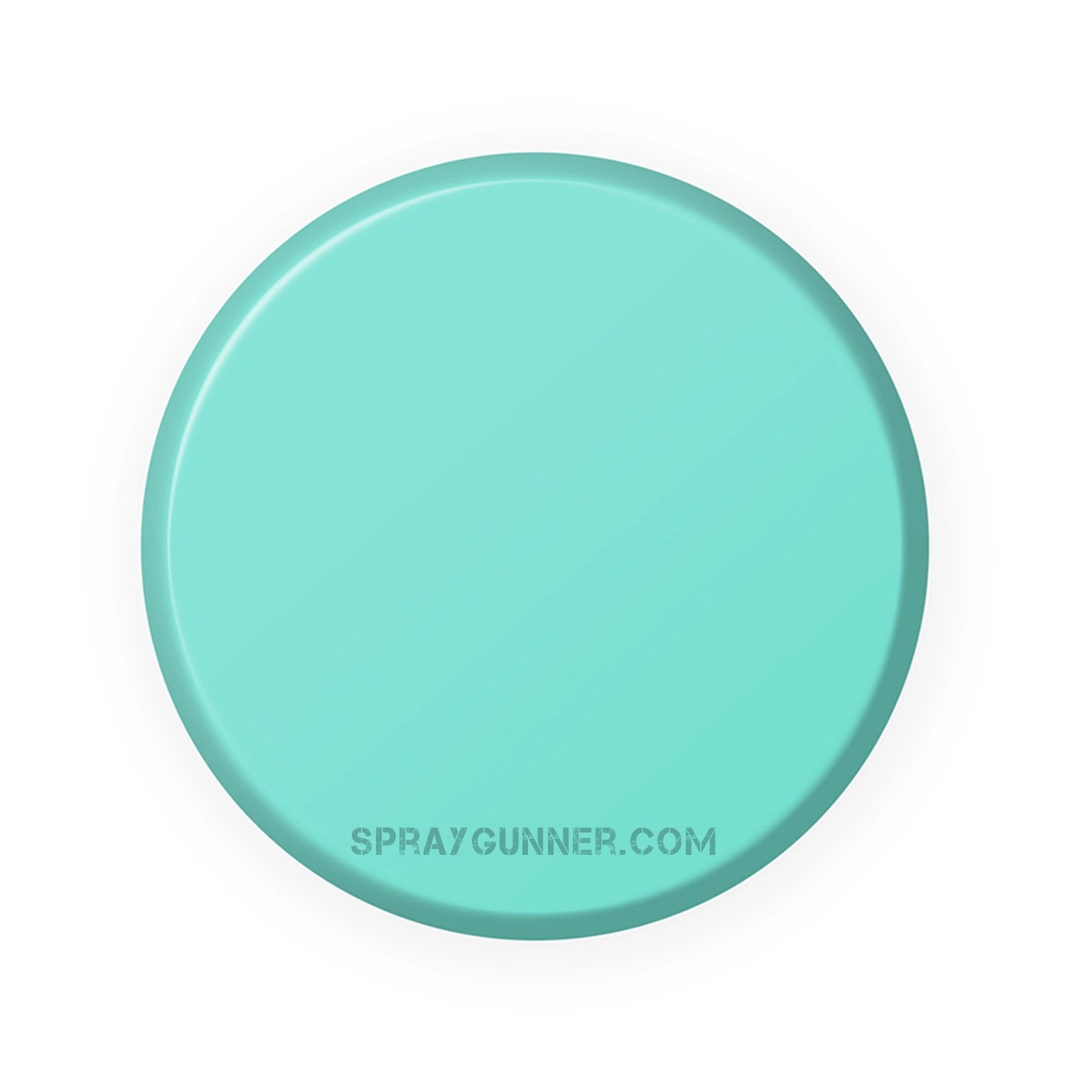 IONIC Smart Colors: Verdigris (20ml) - SprayGunner