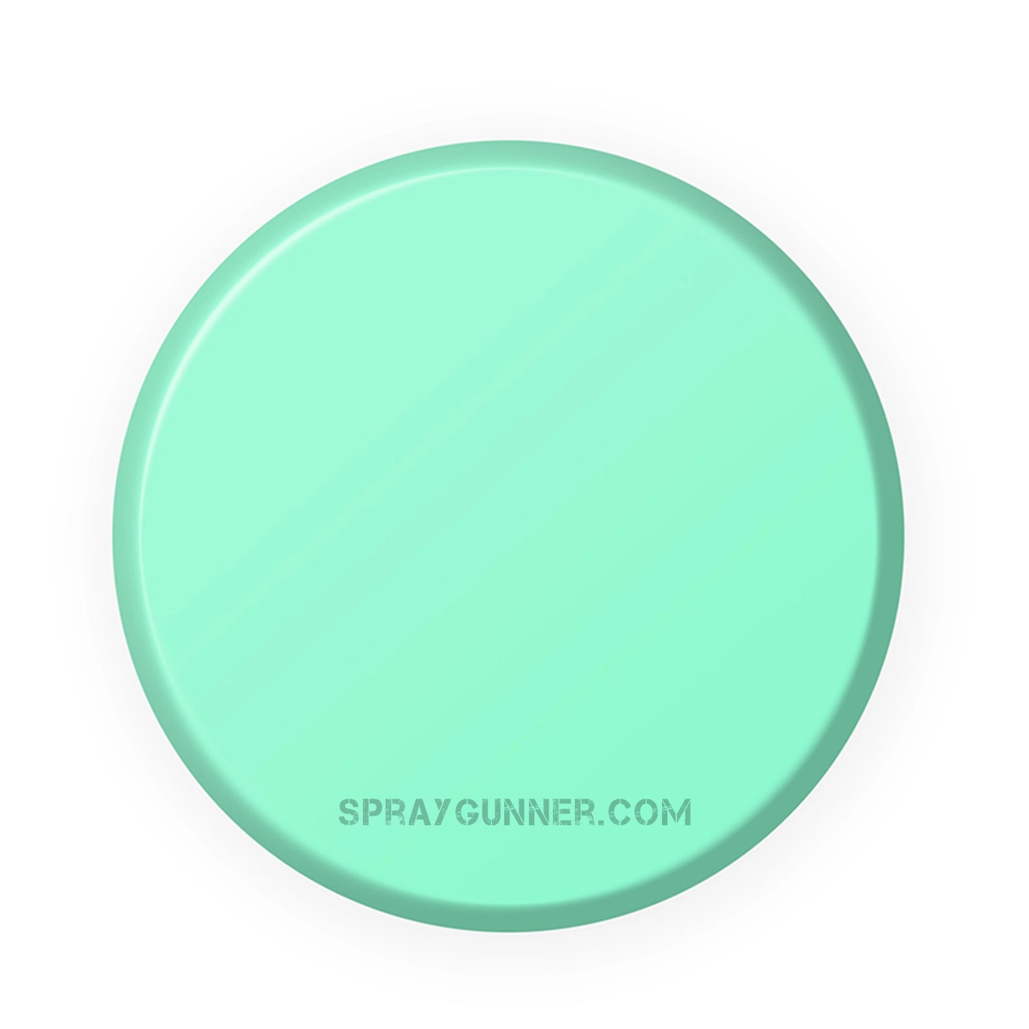 IONIC Smart Colors: Mint Green (20ml) - SprayGunner